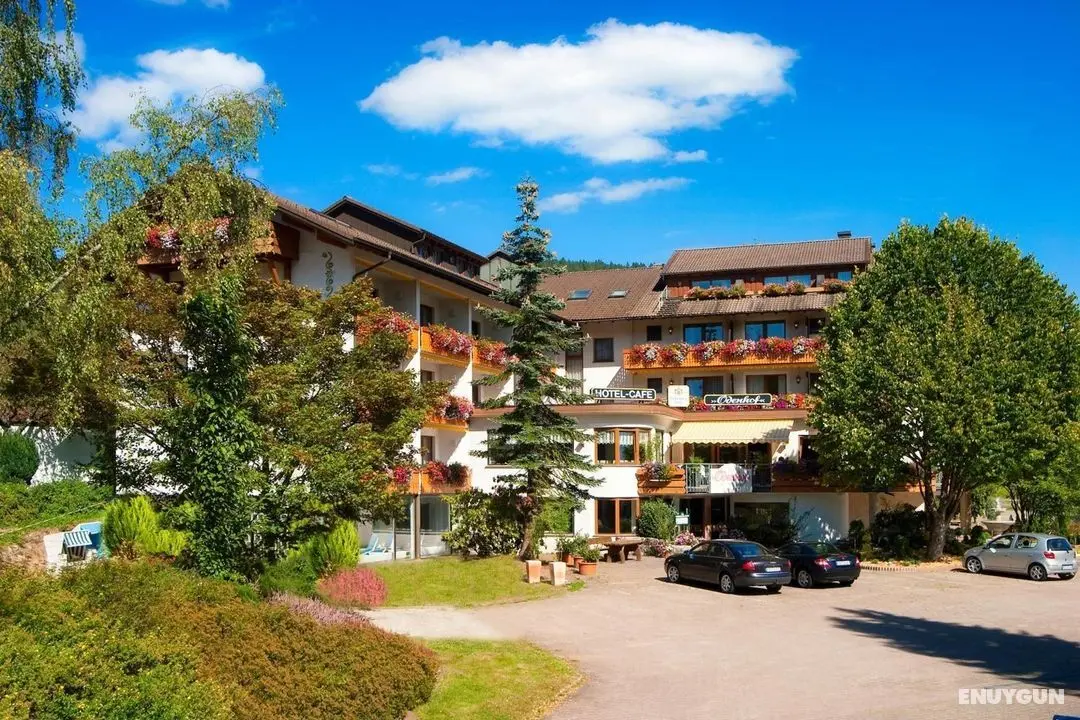 Ferienhotel Ödenhof - Dış Mekan