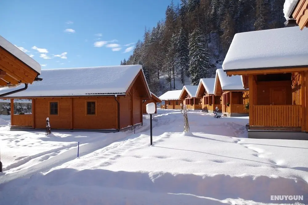 Feriendorf Oberreit - Öne Çıkan Resim