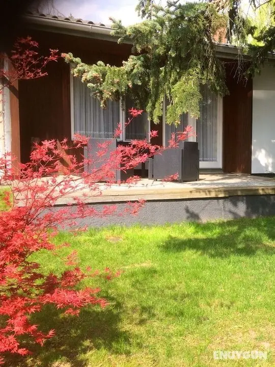 Ferienhaus bei Wien - Öne Çıkan Resim