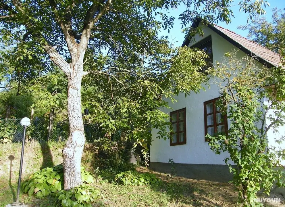 Ferienhaus Leitenhof - Öne Çıkan Resim