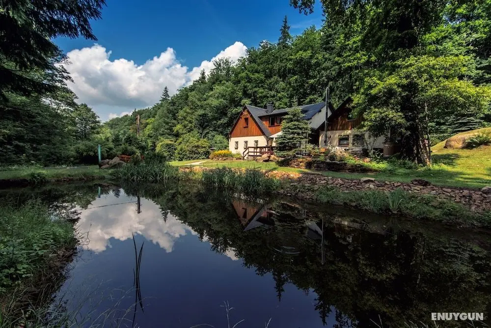 Ferienhaus Oppach - Öne Çıkan Resim