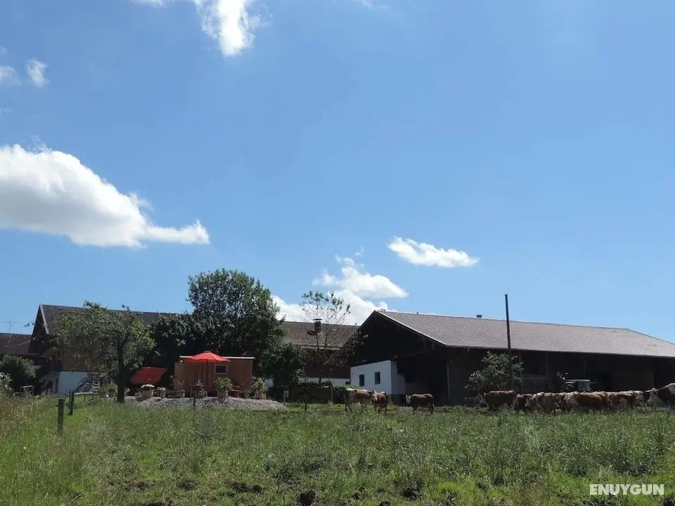 Ferienparadies Reifnhof - Öne Çıkan Resim