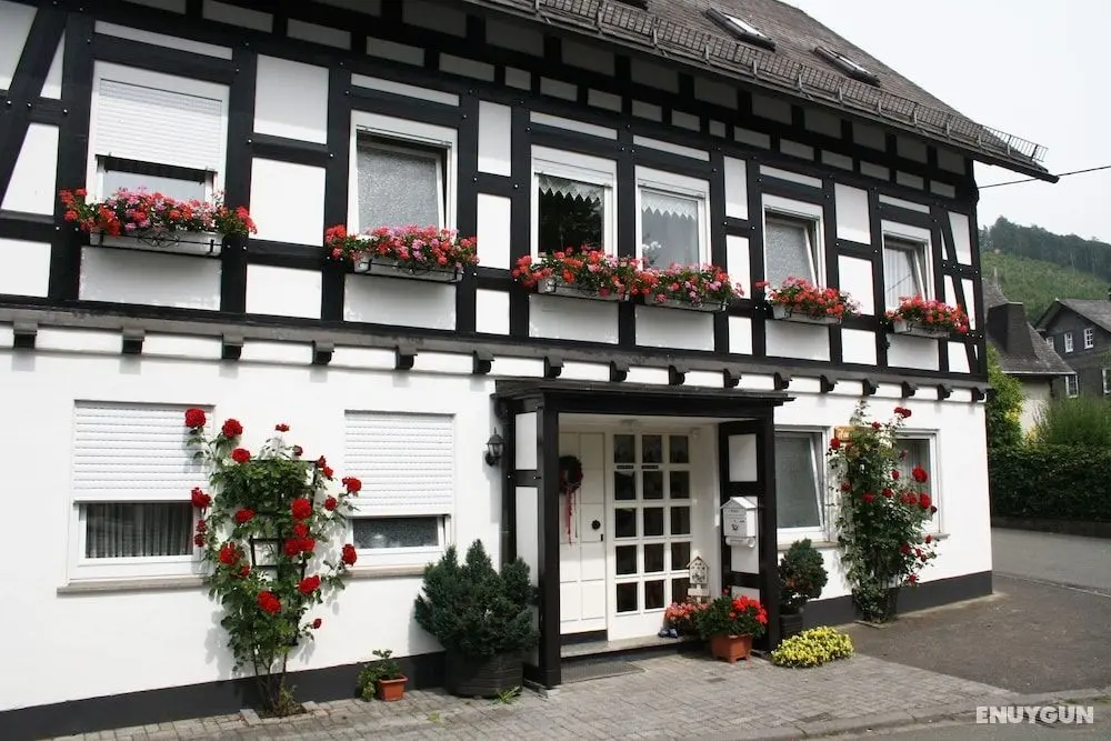 Ferienwohnungen Haus am Medebach - Öne Çıkan Resim
