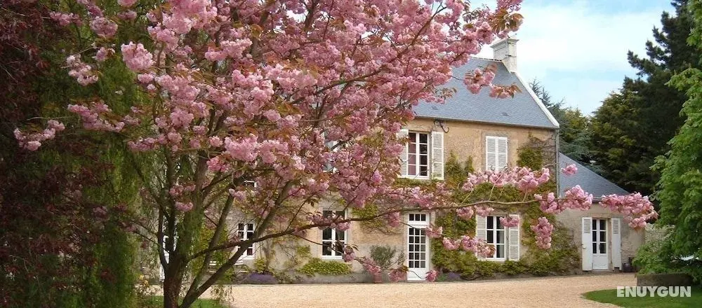 Ferme de Savigny - Öne Çıkan Resim