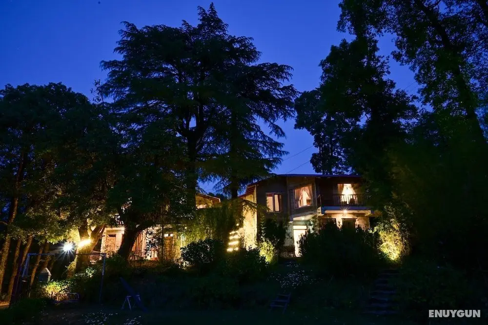 The Fern Villas Nainital By Beyond Stay - Öne Çıkan Resim