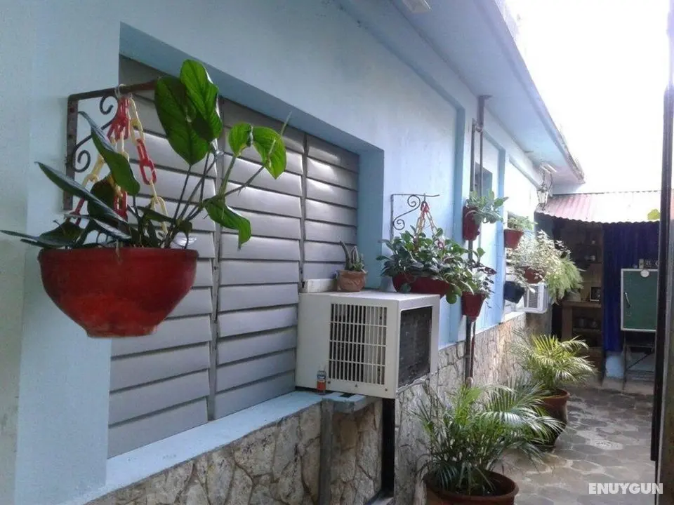 Fernandez Room Rentals - Dış Mekanlar