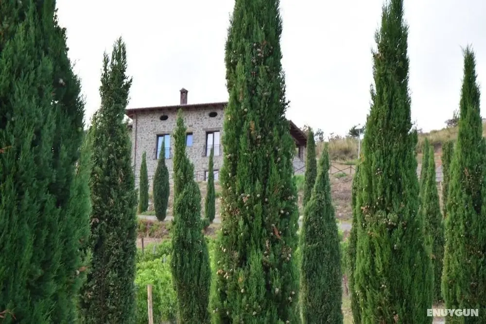Feudi Enchestre B&B - Öne Çıkan Resim