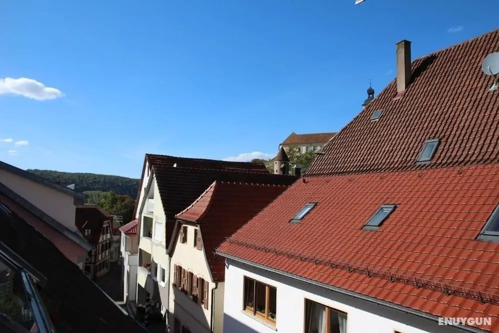 FeWo Gundelsheim - Dış Mekan