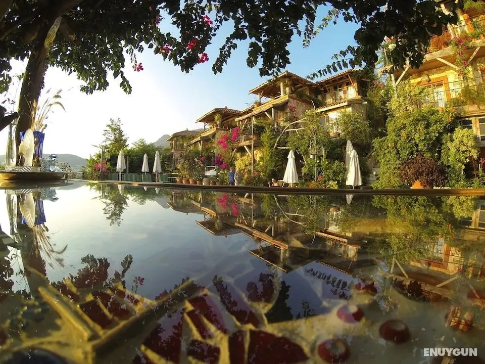 Fidanka Hotel - Öne Çıkan Resim