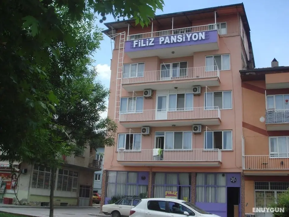 Filiz Pansiyon - Öne Çıkan Resim