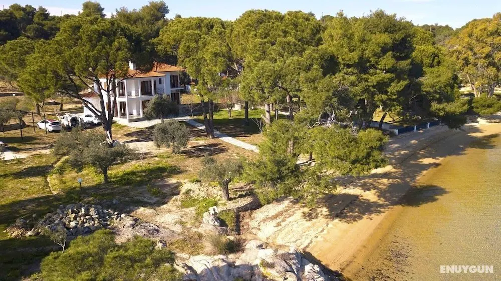 Filyra Private Beach Villa - Öne Çıkan Resim