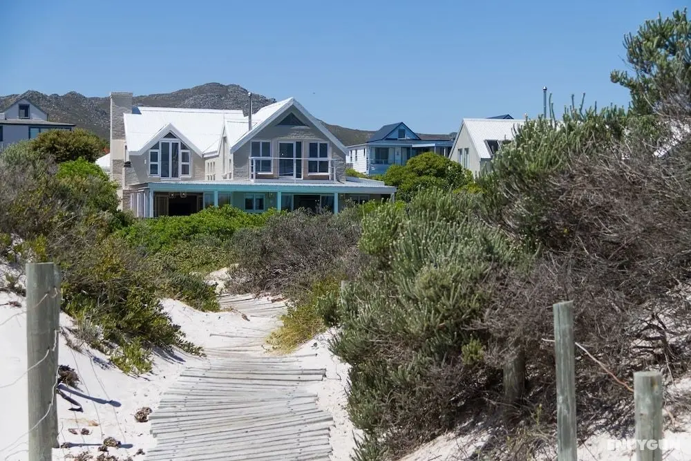 Fin Whale Beach House - Öne Çıkan Resim