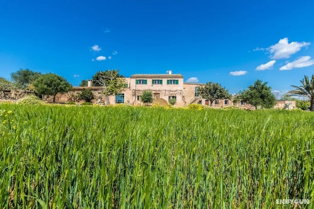 Finca Agroturismo Sa Cova den Borino - Öne Çıkan Resim