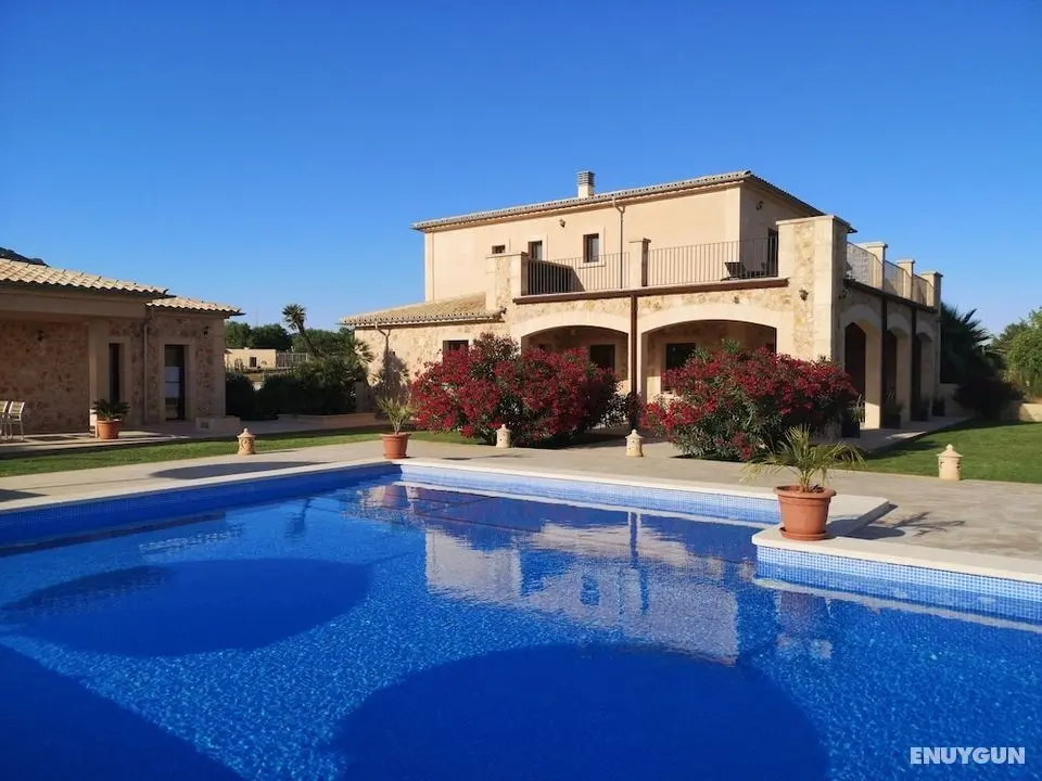 Finca Alegría - Öne Çıkan Resim