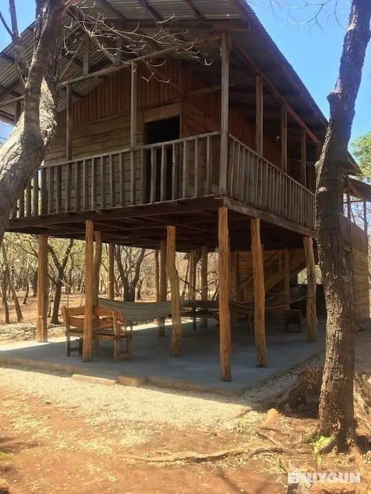 Finca Avellanas - Lobi