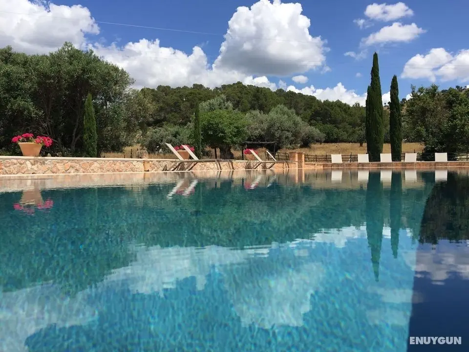 Finca Es Cabas - Öne Çıkan Resim