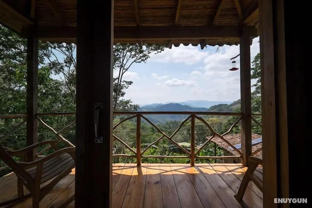 Finca Esperanza Verde - Oda Manzaraları
