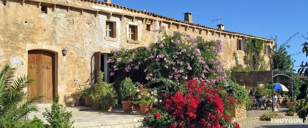 Finca Sa Cova Vella - Öne Çıkan Resim