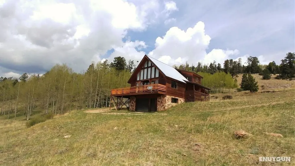 Finch Haven - Öne Çıkan Resim