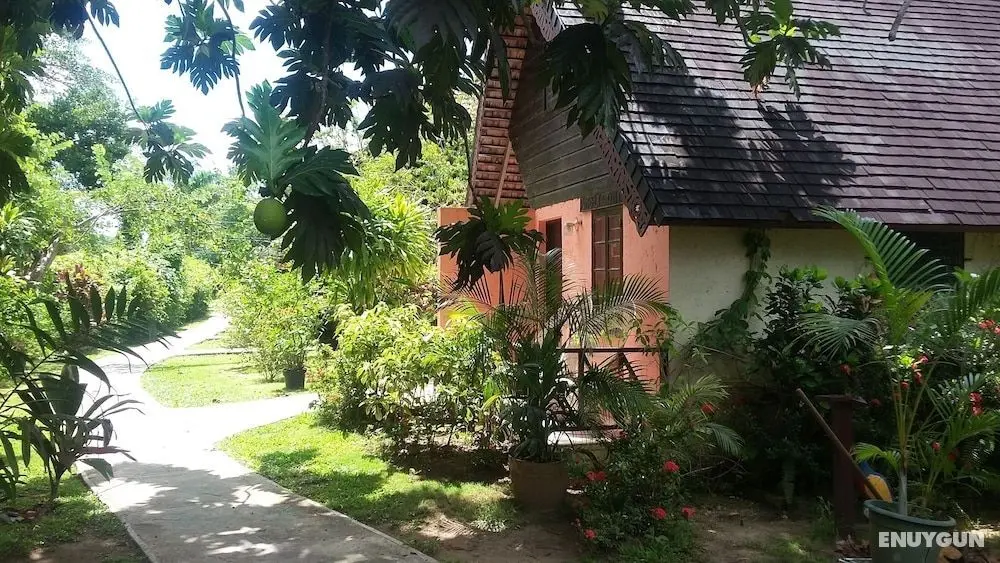 Firefly Beach Cottages and Suites - Lobi