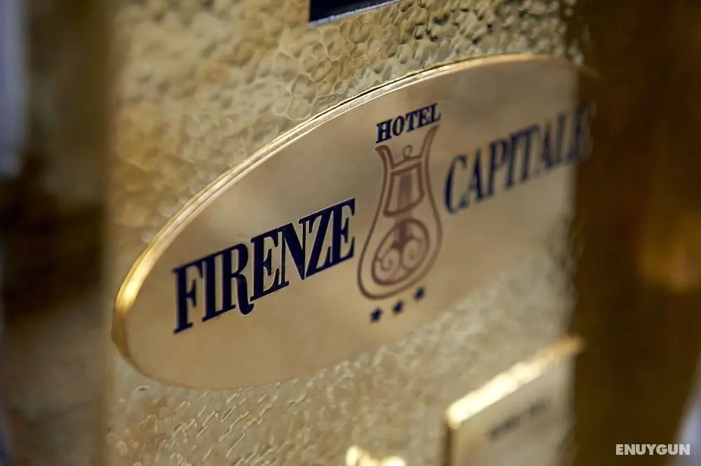 Hotel Firenze Capitale - İç Mekan