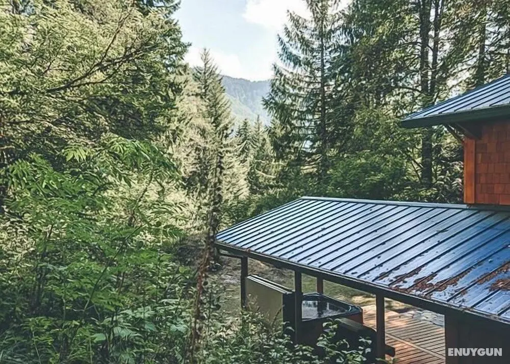 Firwood Cabin - Öne Çıkan Resim