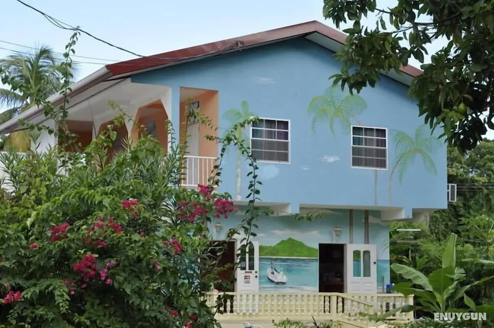 Fish Tobago Guesthouse - Dış Mekan