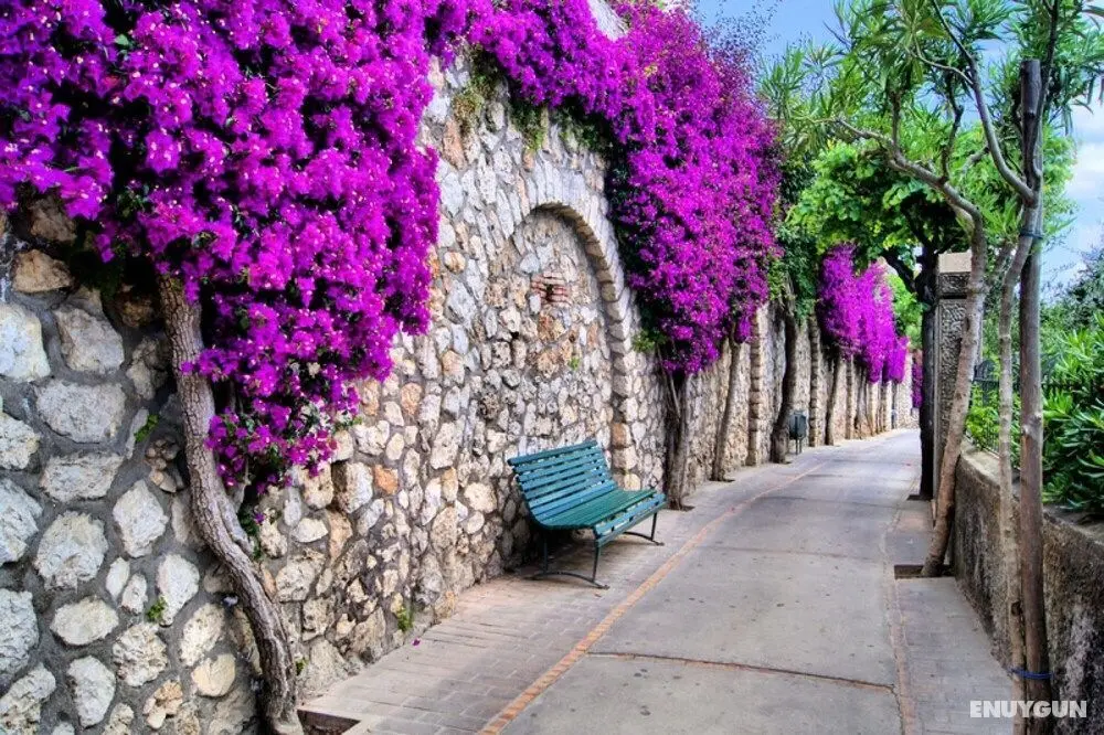The Fisherman s Suite Steps From the Beach - Oda