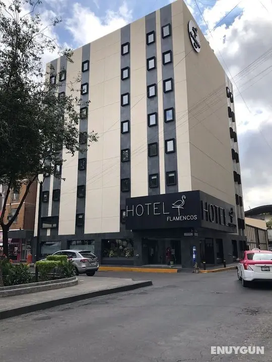 Hotel Flamencos - Öne Çıkan Resim