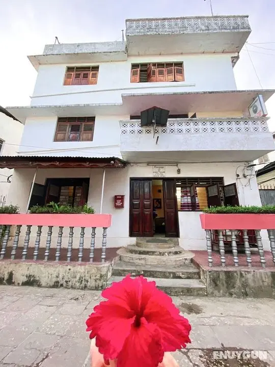 Flamingo Guesthouse - Öne Çıkan Resim