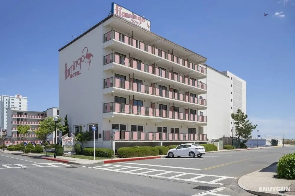 Flamingo Motel - Öne Çıkan Resim