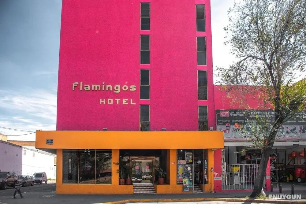 Hotel Flamingos - Dış Mekan