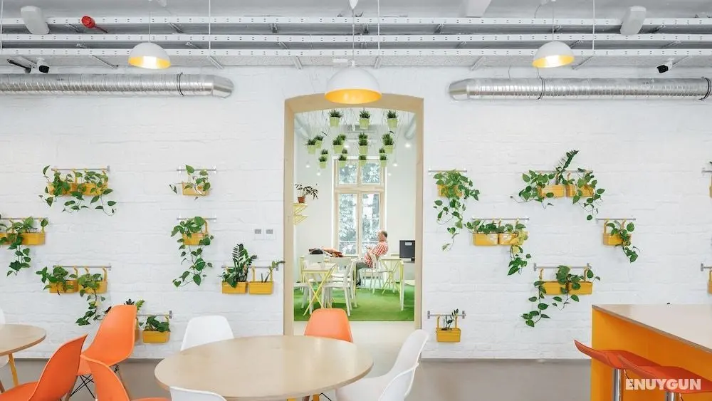 Flow Hostel - Öne Çıkan Resim