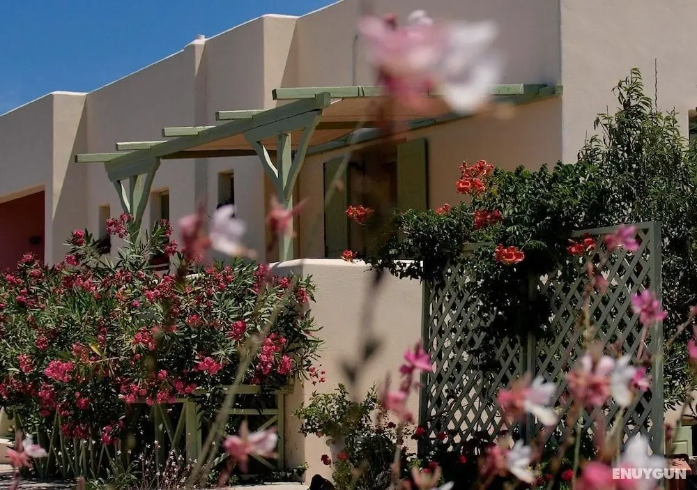 Flower and Crafts - Eco Farm Houses - Oda Manzaraları