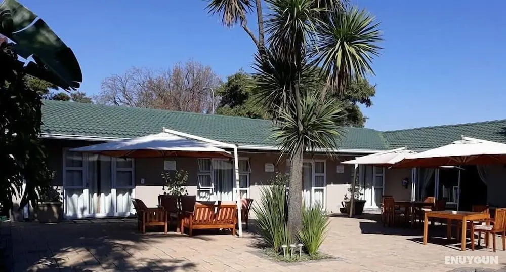Flying Falcon Guesthouse - Öne Çıkan Resim