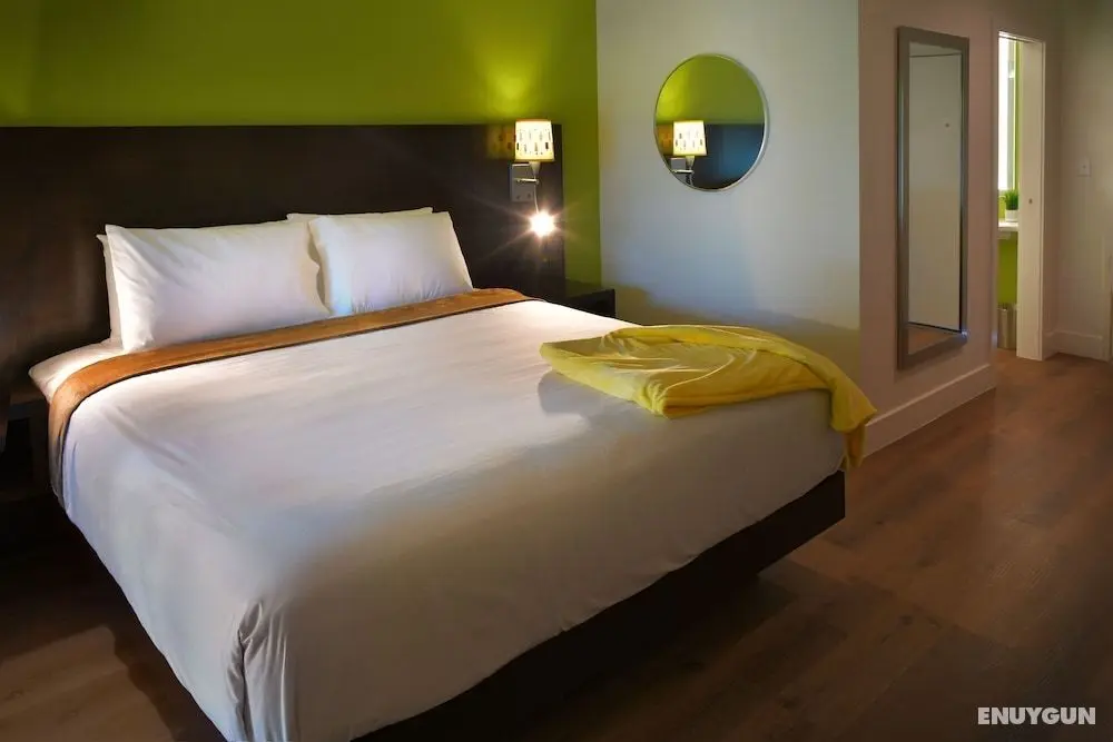 The Foothills Motel - Öne Çıkan Resim