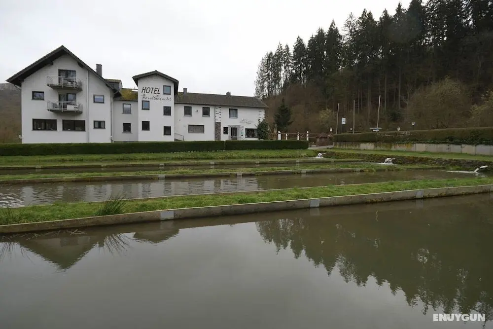 Hotel Forellenzucht - Öne Çıkan Resim