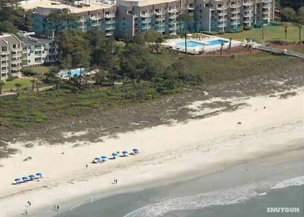Forest Beach by Seashore Vacations - Öne Çıkan Resim