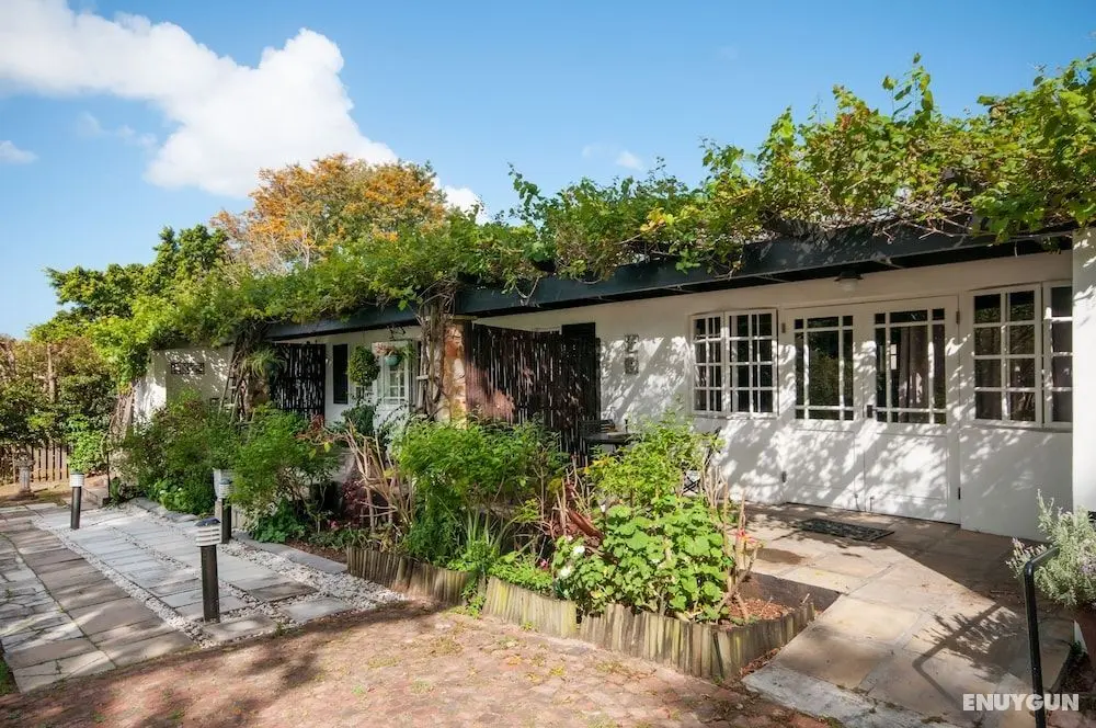 Forest Hall Guest House - Dış Mekan