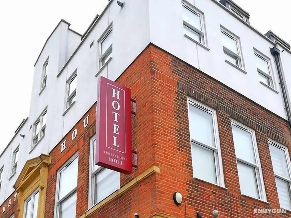 Forest House Hotel - Öne Çıkan Resim