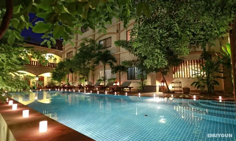 Forest King Hotel - Öne Çıkan Resim