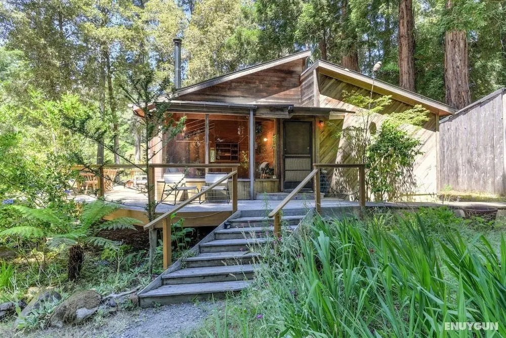 Forest Sea Cabin - Öne Çıkan Resim