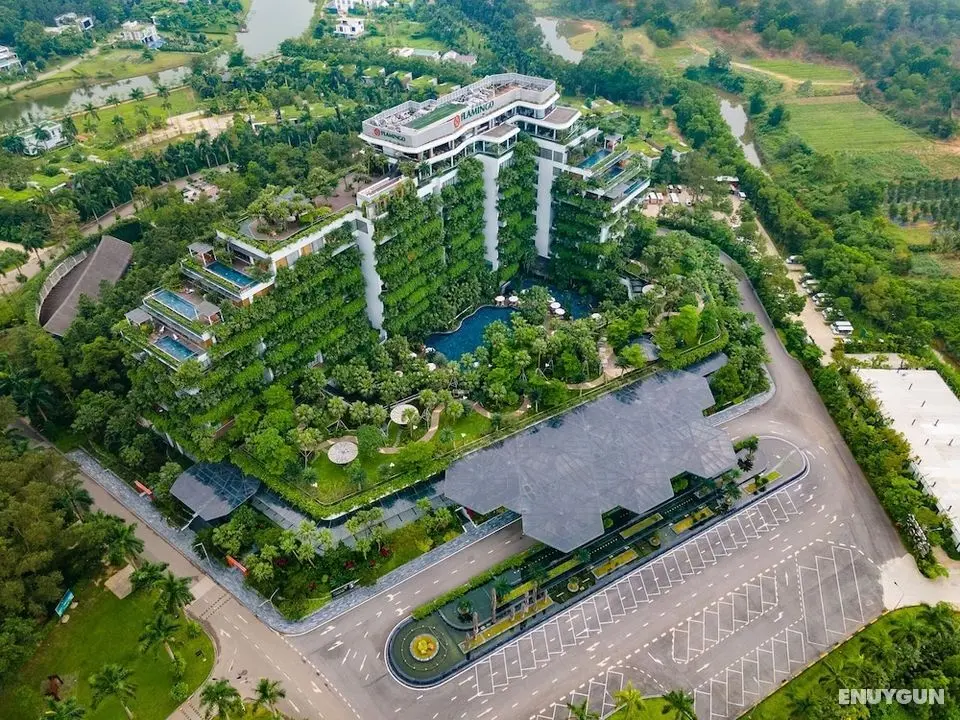 Forest In The Sky Flamingo Dai Lai Resort - Öne Çıkan Resim