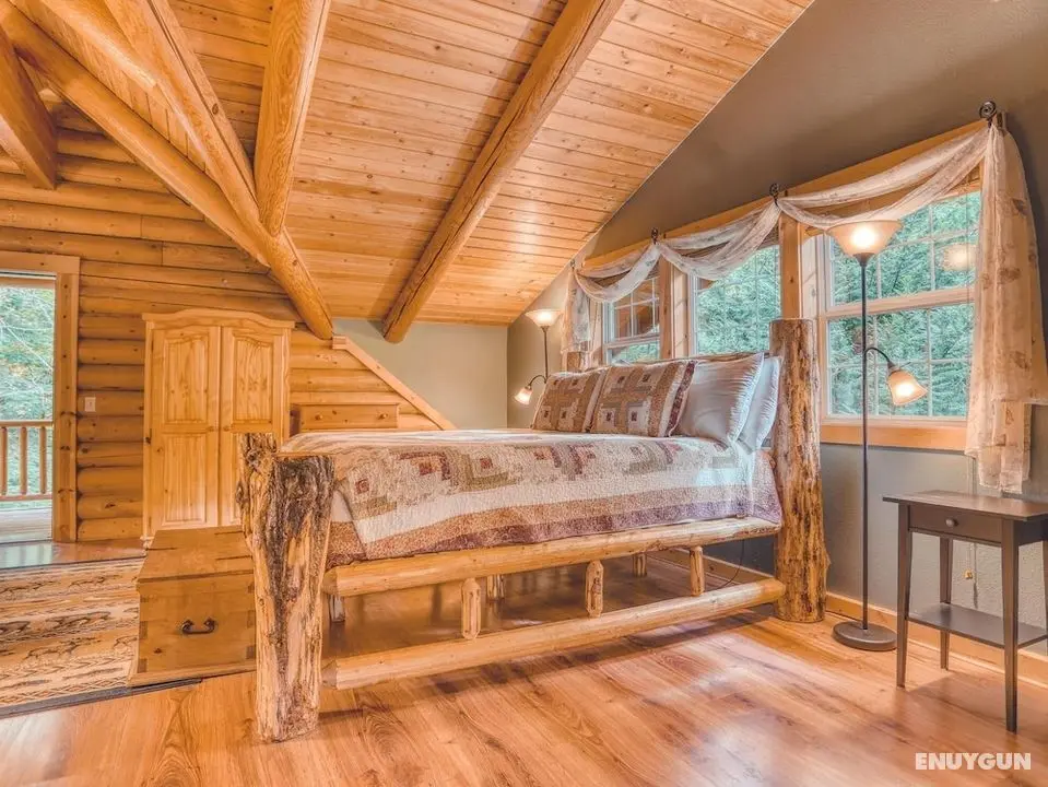 Forest View Lodge - Öne Çıkan Resim