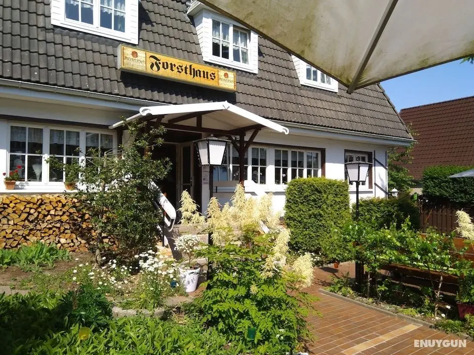 Hotel Forsthaus Sellin - Öne Çıkan Resim
