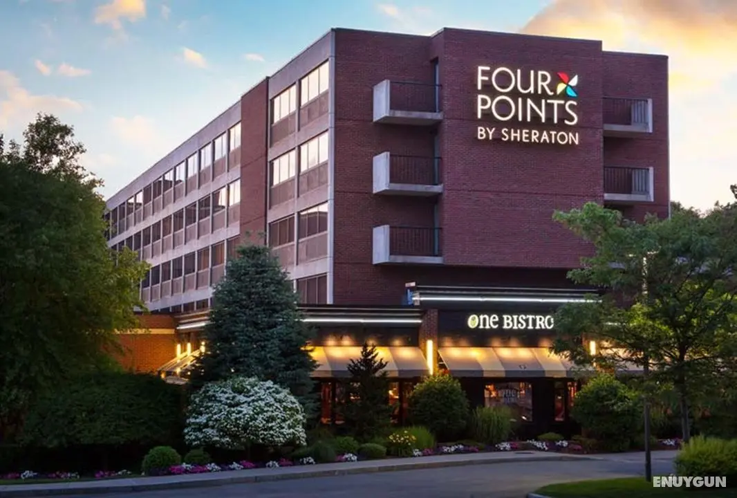 Four Points by Sheraton Norwood - Genel