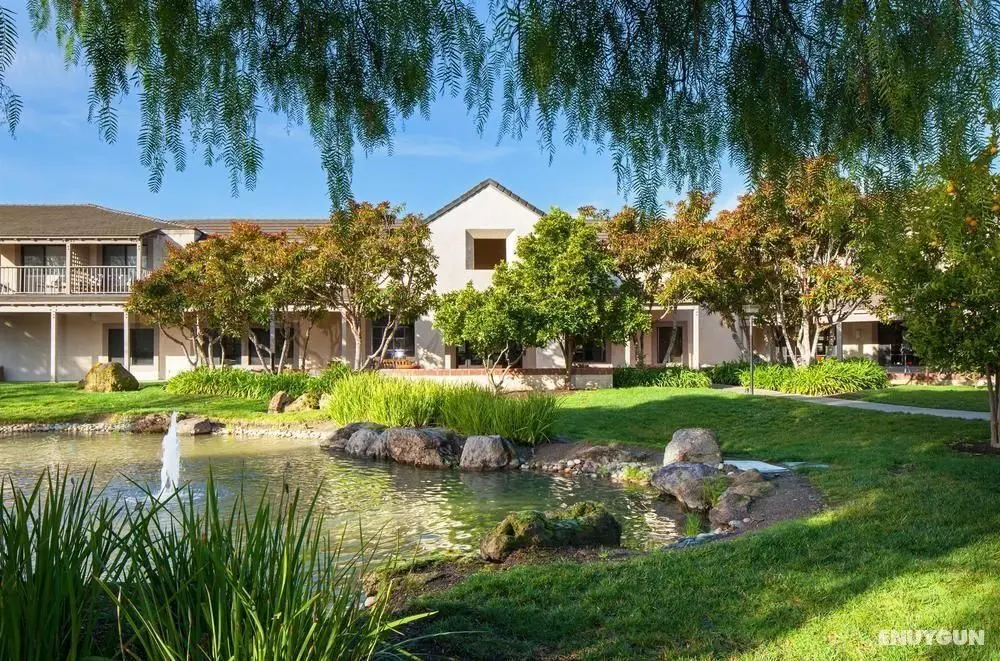 Four Points by Sheraton Pleasanton - Genel