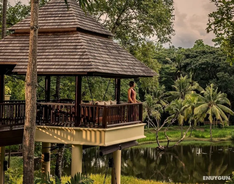 Four Seasons Resort Chiang Mai - Öne Çıkan Resim