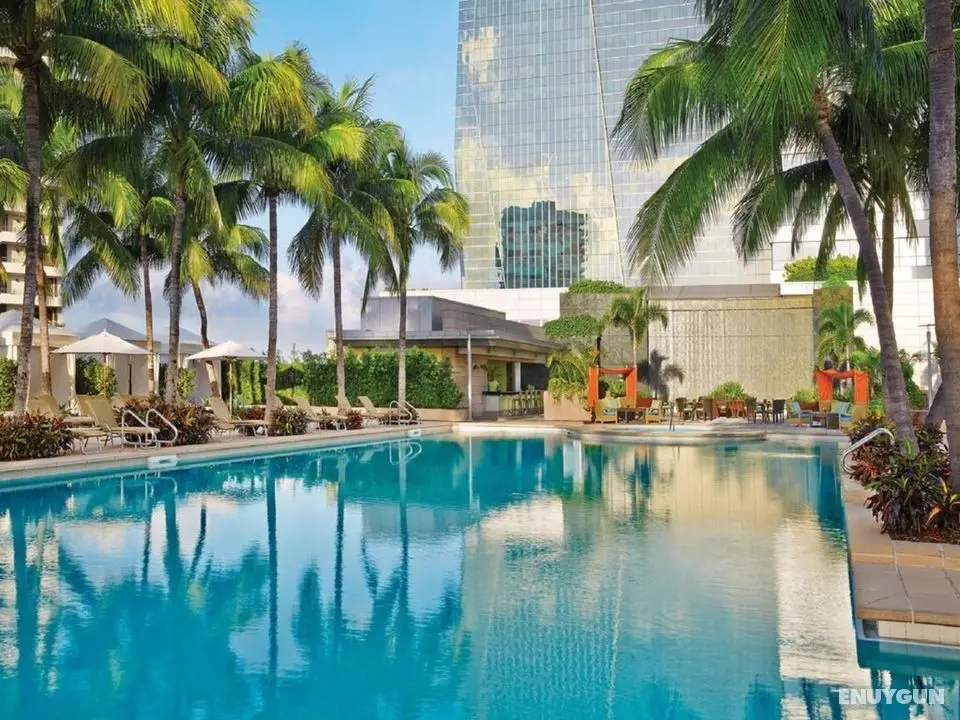 Four Seasons Hotel Miami - Havuz