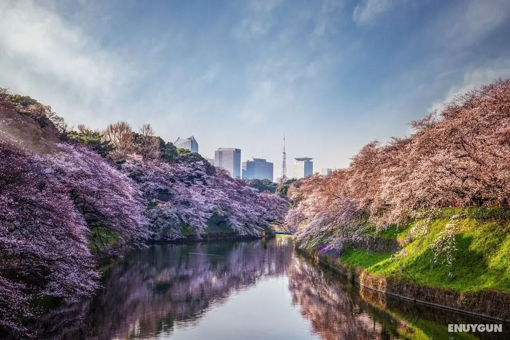 Four Seasons Hotel Tokyo at Otemachi - Öne Çıkan Resim